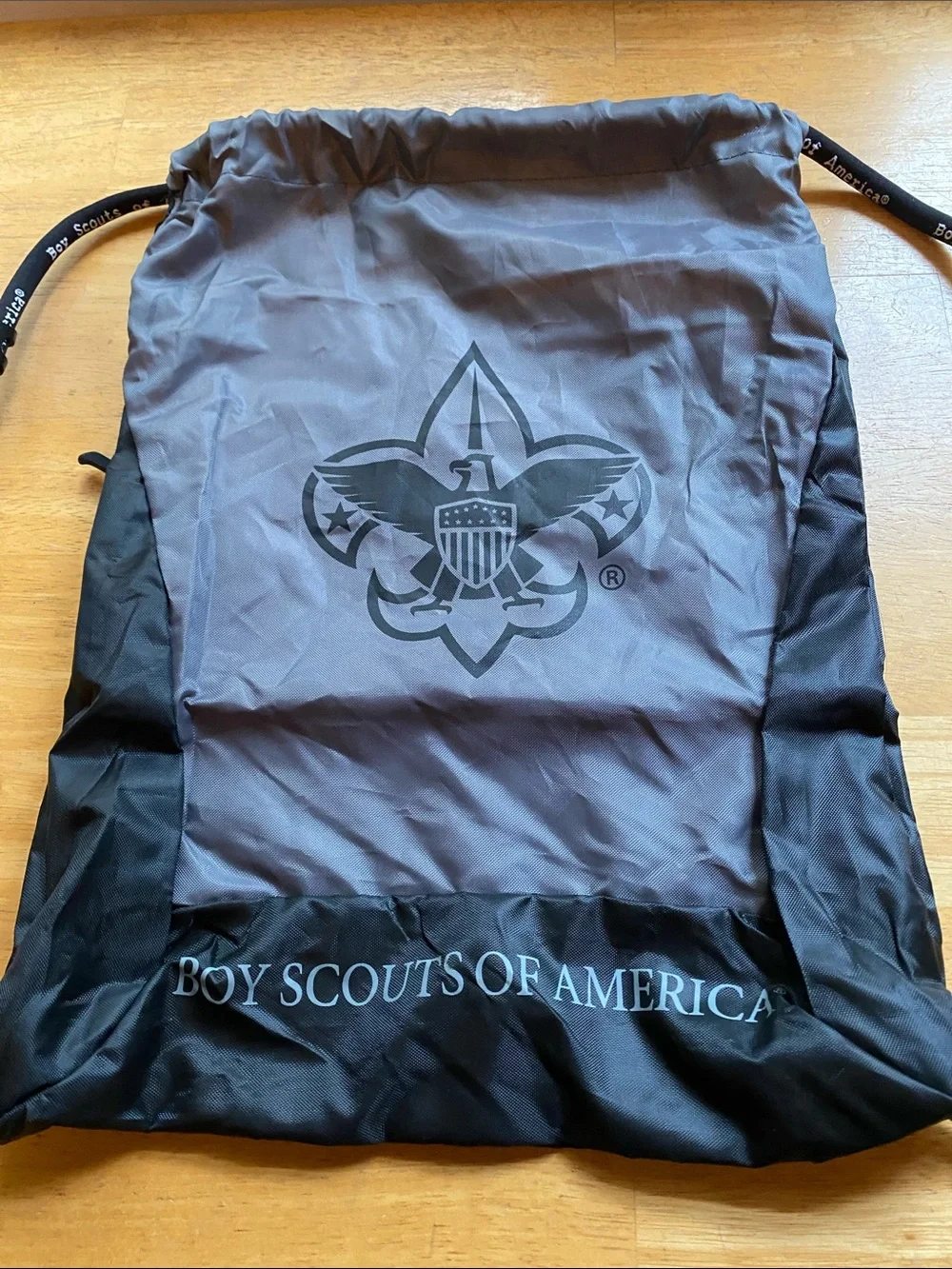 Scout boy scouts